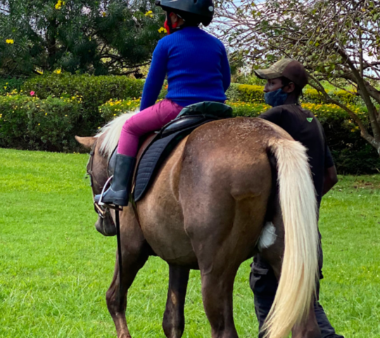 Tigoni Equestrian Centre