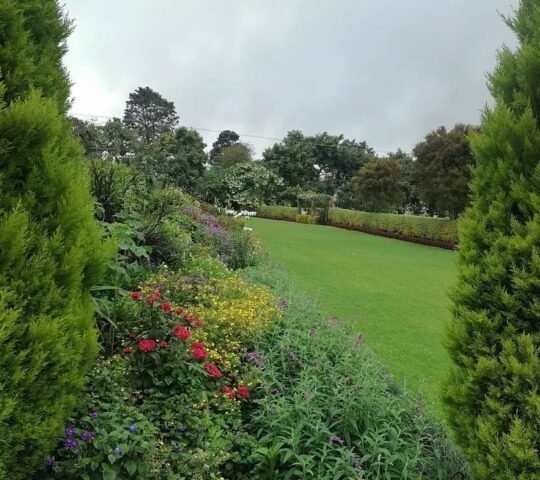 Fuschia Gardens