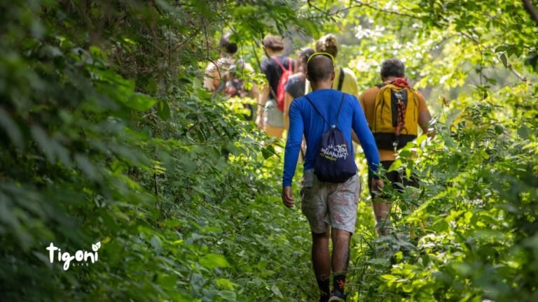 Hiking in Tigoni