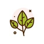 Tea Farm Tours in Tigoni