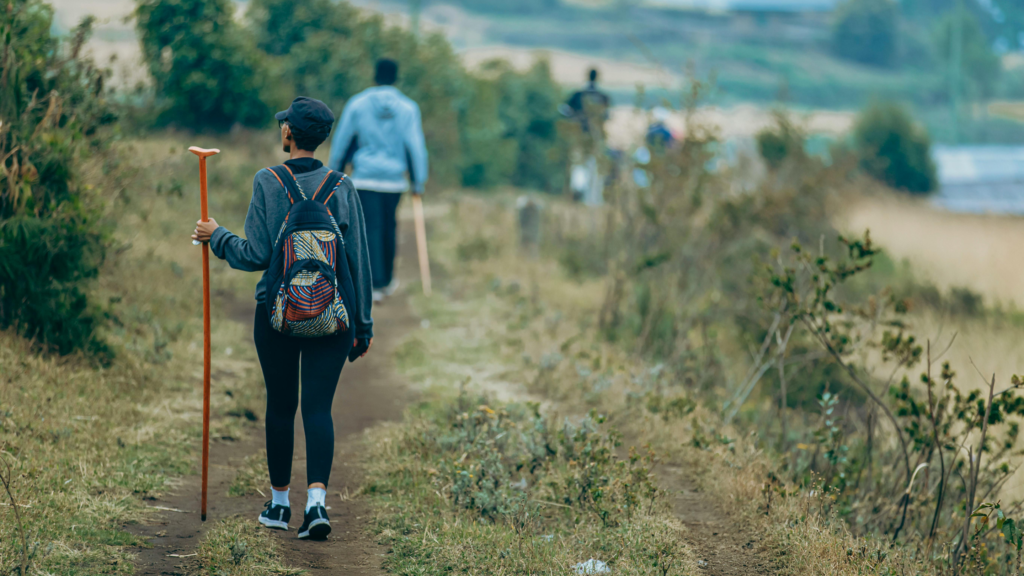 hiking trail_hiking trail