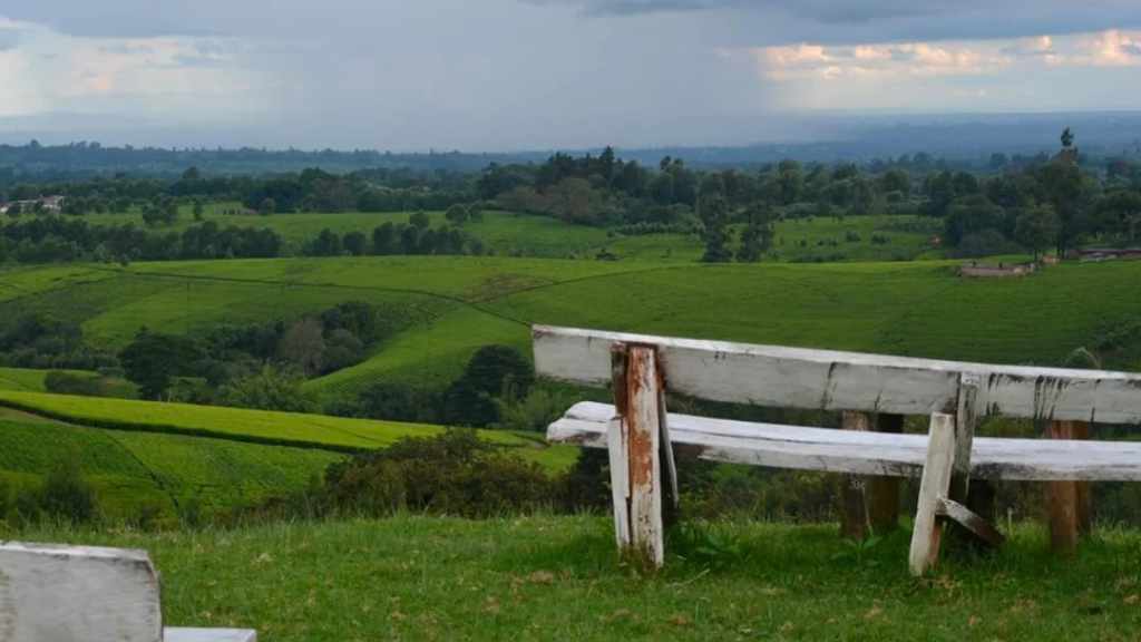 Picnic Sites in tigoni resized header 2