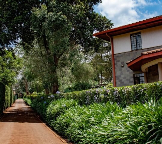 Kimlea Technical Training Center