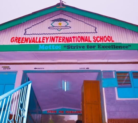 Green Valley International School