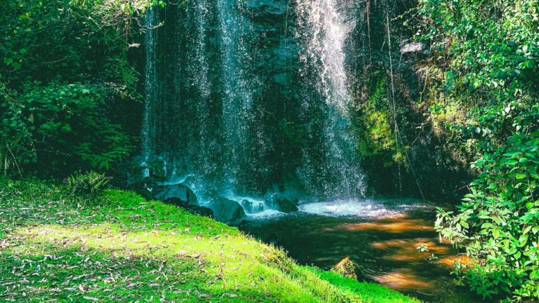 Premium Family Walk 2