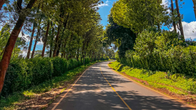 Dog Friendly walks 2