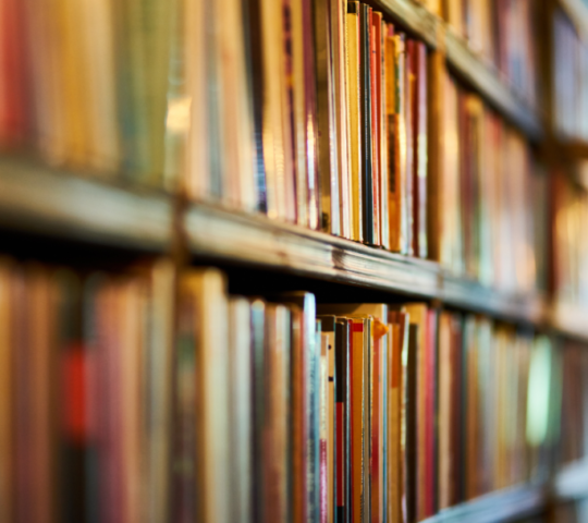 North Riara Ridge School