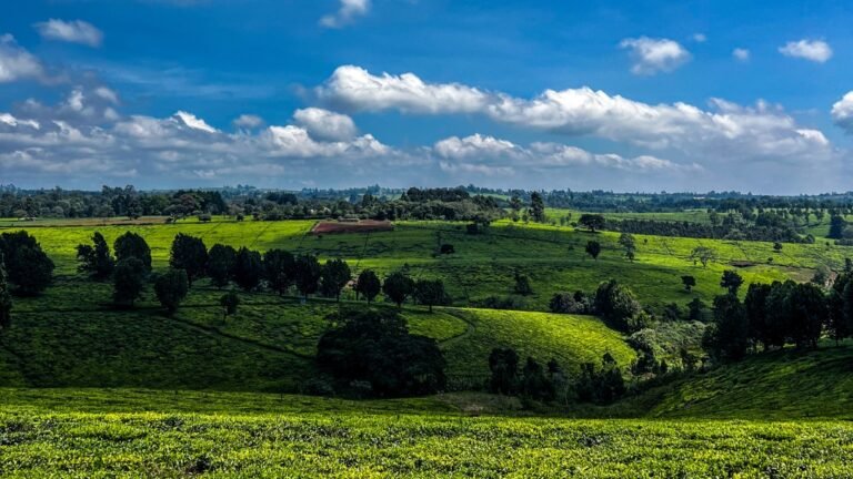 Family walks header images 3