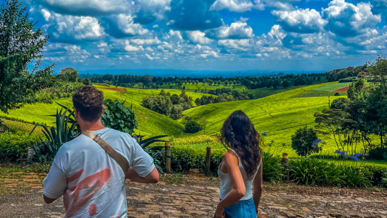 Premium Family Walk 3