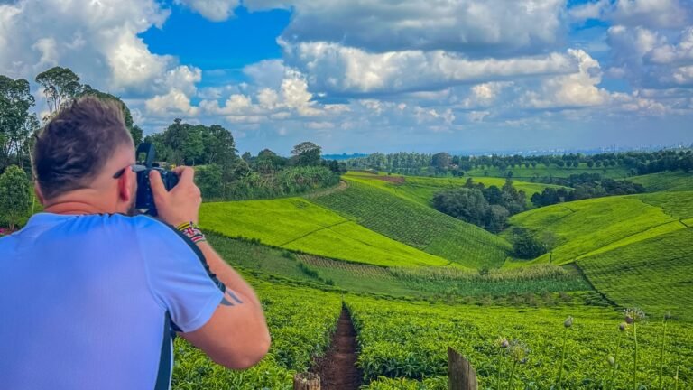 Family walks header images 4